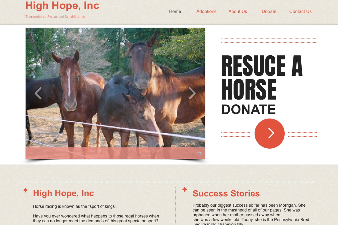 High Hope, Inc | Website